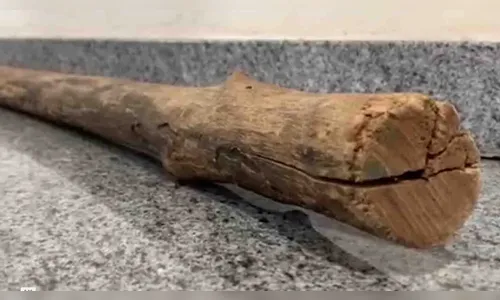 Jovem ameaça pai com pedaço de pau após discussão em Ariranha do Ivaí