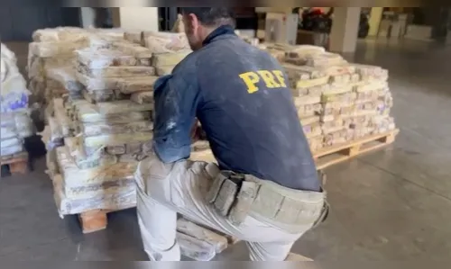 4 toneladas: PRF faz 1ª grande apreensão de maconha em nova unidade