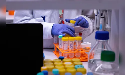 Paraná Anjo Inovador seleciona 80 startups de 15 municípios