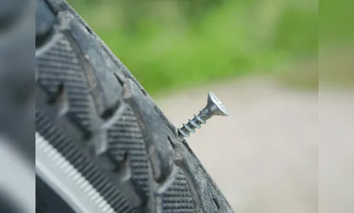 Pregos na estrada: confusão entre vizinhas mobiliza PM em Califórnia