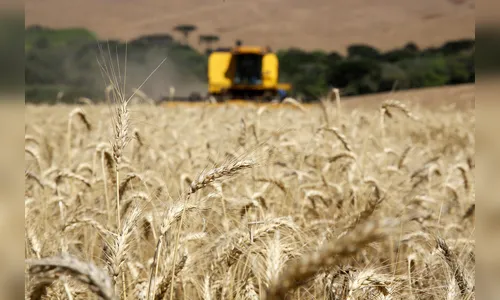 Governo amplia prazo para produtor rural adotar nota fiscal eletrônica