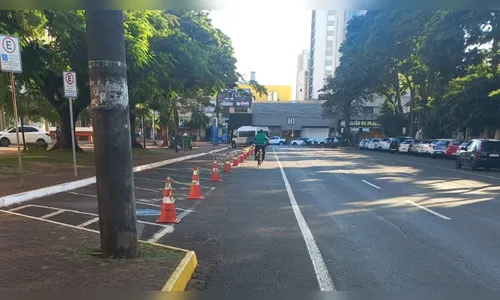 Vagas de estacionamento são bloqueadas para poda de árvores no centro