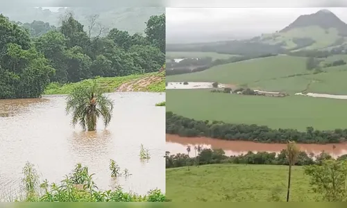 Família fica ilhada em área rural após cheia do Rio Ivaí; veja