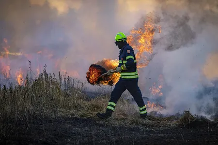 Bioma está virando floresta secundária, com menos estoque de carbono