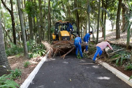 Bosque Municipal recebe melhorias