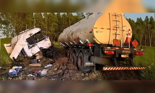 Caminhão sai da pista e bate em empresa de produtos químicos na BR-376