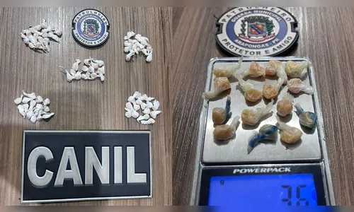 Esconderijo inusitado: GM encontra crack em pote de feijão congelado