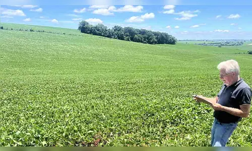 Chuvas não comprometem andamento da safra da soja na região