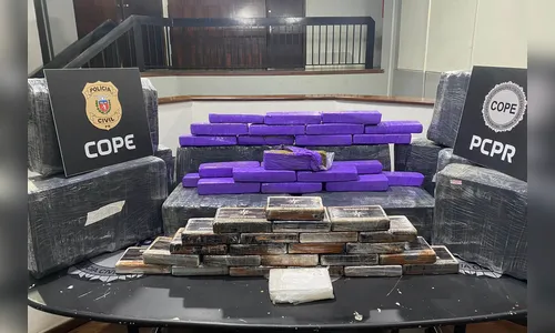 Polícia Civil apreende 285 kg de drogas em Ponta Grossa