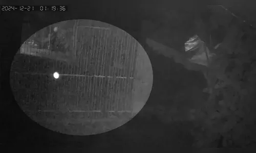 Óvni? Morador do PR se assusta com 'luz misteriosa' e pede ajuda