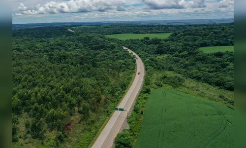 Obras rodoviárias totalizam R$ 4 bi em investimentos no Paraná em 2024