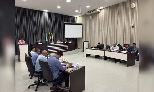 Vereadores de Apucarana definem membros de comissões para 2025