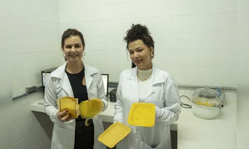 Pesquisadora da UEM transforma macaúba em embalagens biodegradáveis