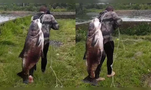 Pescador fisga peixe gigante em represa do PR e viraliza na web; veja