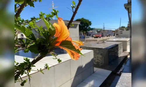 Confira os falecimentos desta quarta-feira (25) em Apucarana