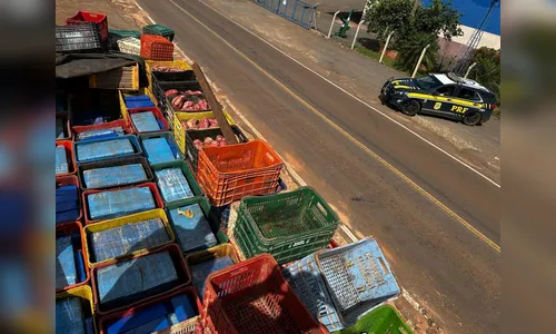 Motorista se joga de caminhão carregado de 2t de drogas em Astorga