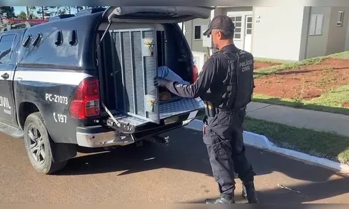 Milícia que executou mais de 20 pessoas e gravou mortes é alvo da PCPR