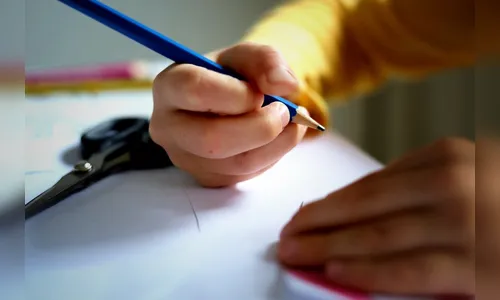 Estudos apontam que famílias estão insatisfeitas com o ensino escolar