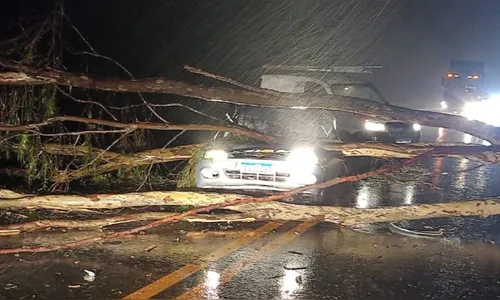 Família com bebê de 11 meses sobrevive a acidente no Paraná
