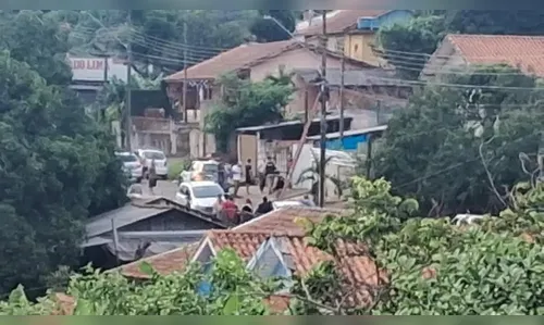 Pitbulls atacam e deixam idoso em estado grave no PR; filha é a tutora