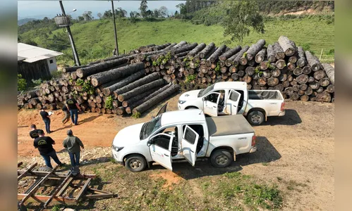 Multa por crimes ambientais cresce 24% no Paraná de janeiro a novembro