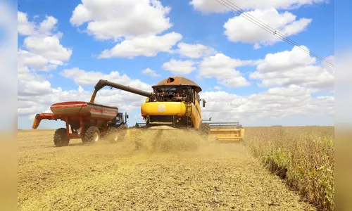 Safra terá R$ 10 mi do Programa de Subvenção ao Seguro Rural do PR