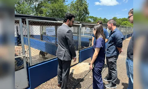 Entrega de ração para protetores de animais acontecerá nesta sexta