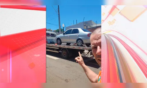 Motorista para em local proibido para ver quatis e se acidenta