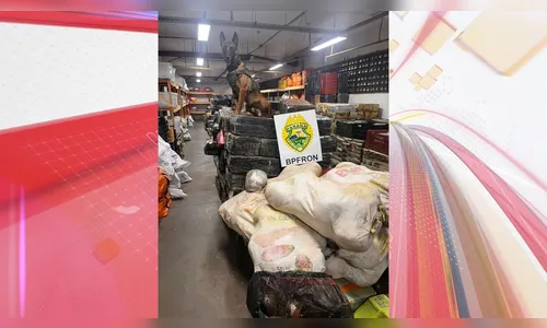 Polícia apreende quase 6 toneladas de maconha em operação no Paraná