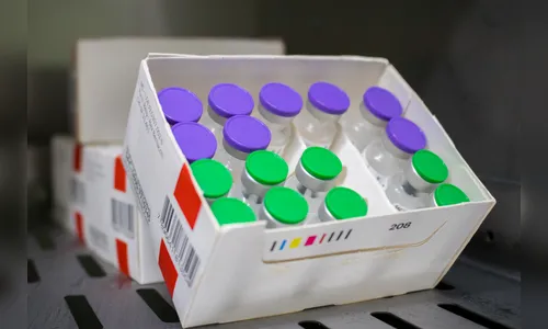 Califórnia convoca pessoas de 10 a 14 anos para vacinar contra dengue