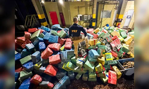 Recorde: PRF apreendeu 284 toneladas de drogas no Paraná
