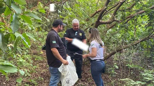 Ossada foi encontrada às margens de estrada rural