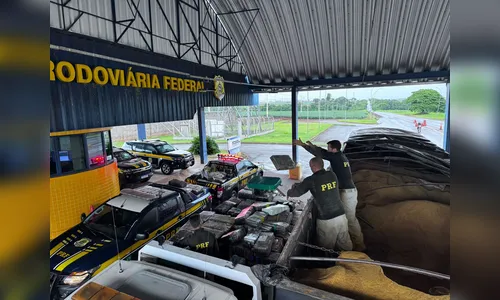 PRF apreende fuzis e mais de oito toneladas de maconha no PR; veja