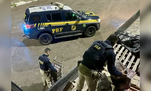 Dentro de caixas de ovos, PRF apreende mais de 300 kg de maconha