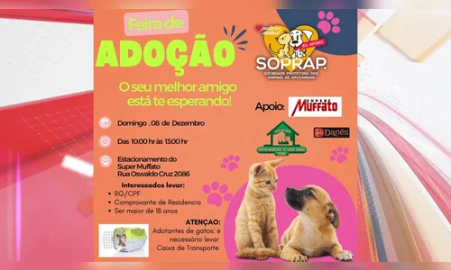 Feira de Adoção de Filhotes será realizada neste domingo em Apucarana