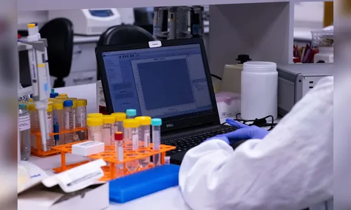 Apucarana e Arapongas têm startups escolhidas em programa de inovação