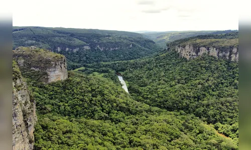 Paraná começa a executar R$ 586 milhões em projetos ambientais