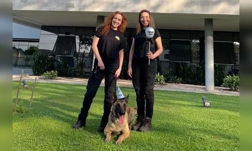 Polícia Científica do PR ganha primeiro mascote da corporação; veja