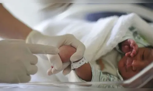 Helena e Miguel são os nomes mais escolhidos no Paraná em 2024