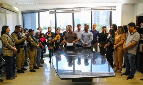 Arapongas proíbe cigarros eletrônicos e danças sensuais nas escolas