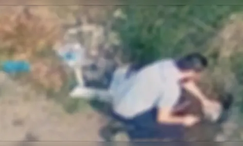 Chocante! Homem mata porquinho-da-índia a marteladas no Paraná