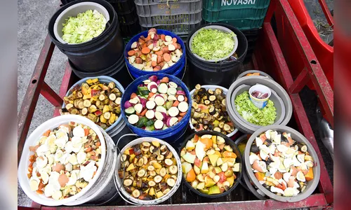 Parceria entre IAT e Ceasa ajuda a alimentar animais silvestres