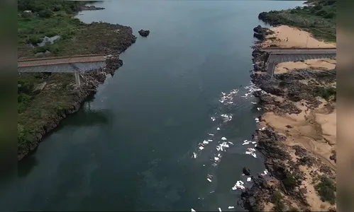 Governo anuncia data para início da reconstrução da ponte que desabou
