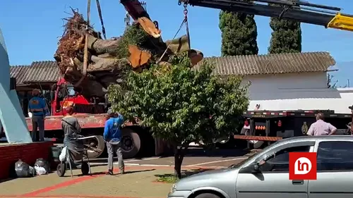 Remoção ocorreu na manhã desta quinta-feira (12)