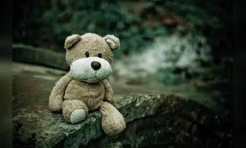 Câmara aprova castração química de pedófilos