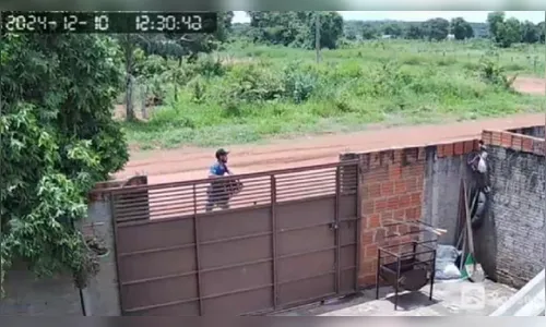 Homem furta caixa de cerveja enquanto motorista almoça; veja flagrante