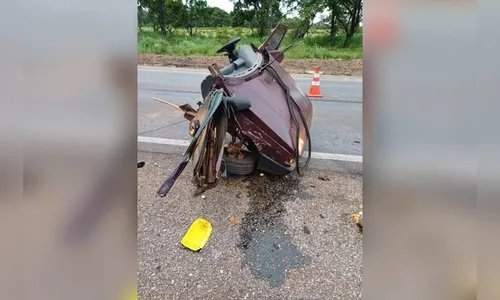 Acidente em rodovia mata crianças após motorista desviar de tamanduá