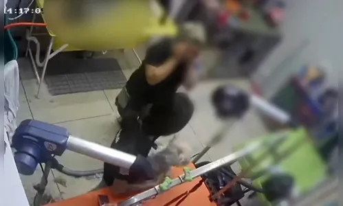 Cachorra Yorkshire morre depois de sofrer trauma na cabeça em pet shop