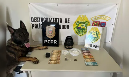 Cães da PCPR ajudaram a apreender 2,8 toneladas de drogas em 2024