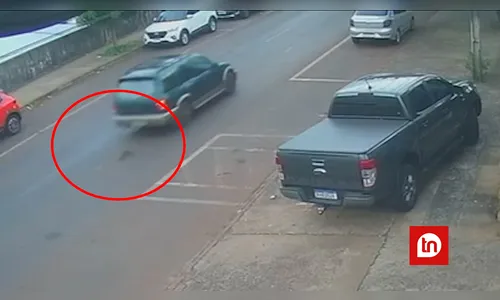 Passageira indesejada! Vídeo mostra cobra caindo de carro em movimento